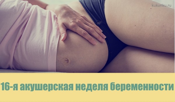 2-й месяц беременности