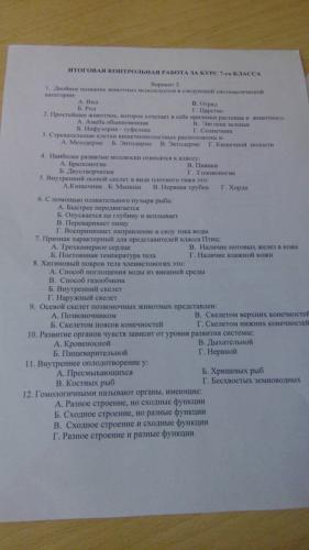 Нервная система - что это такое? какие функции у нервной системы?