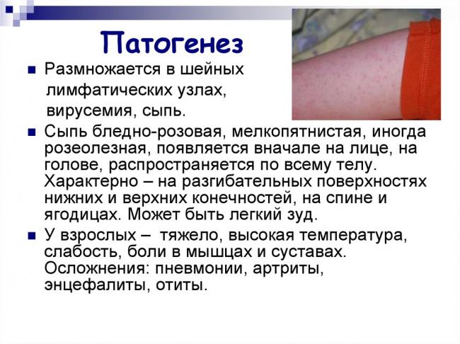 Как вирусы гриппа проникают в организм человека