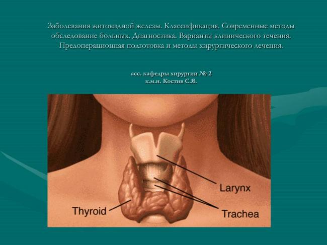 Эндемический зоб — симптомы, лечение и профилактика