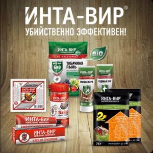 Интавир – инструкция по применению и состав. от чего помогает и когда обрабатывать интавиром