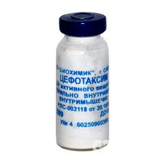 Фитин