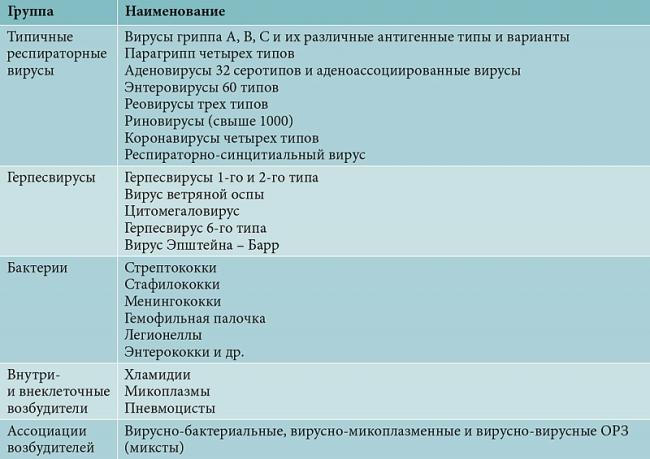 Чем лечить воспаление легких у взрослых и основные признаки