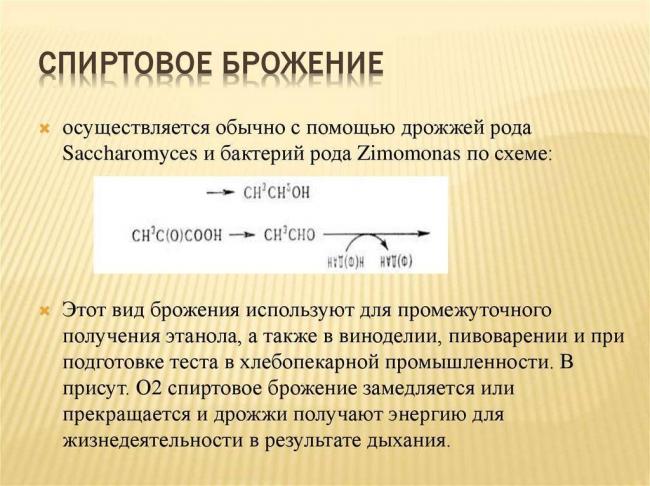 Особенности питания бактерий-хемосинтетиков