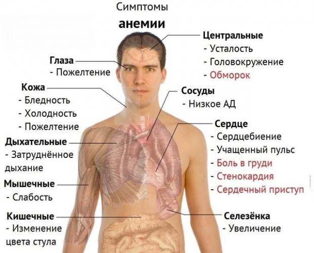 От чего помогает «сорбифер дурулес»? инструкция, цена, отзывы и аналоги