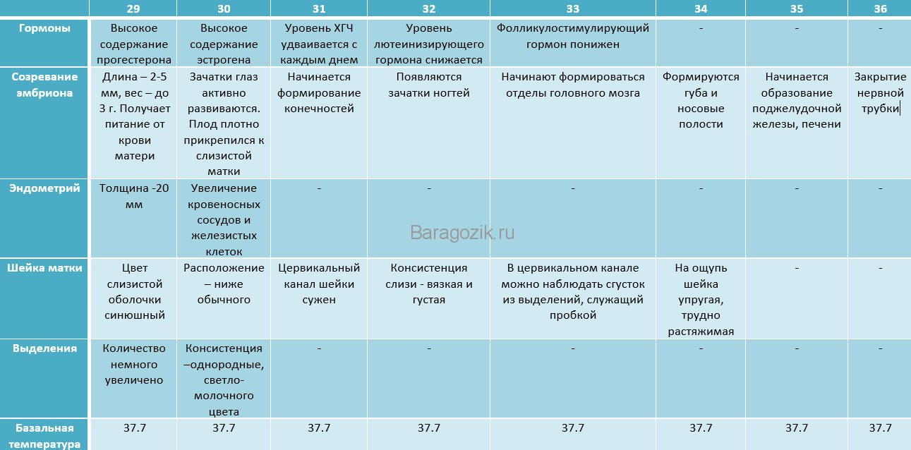 25 признаков беременности