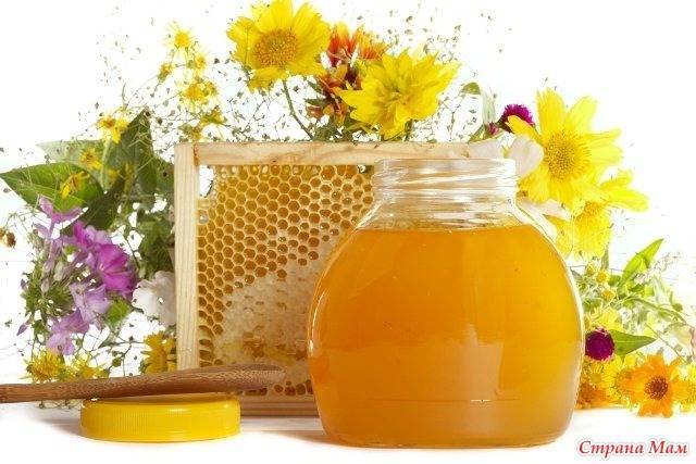 Медовая лепешка от кашля для детей: рецепт приготовления