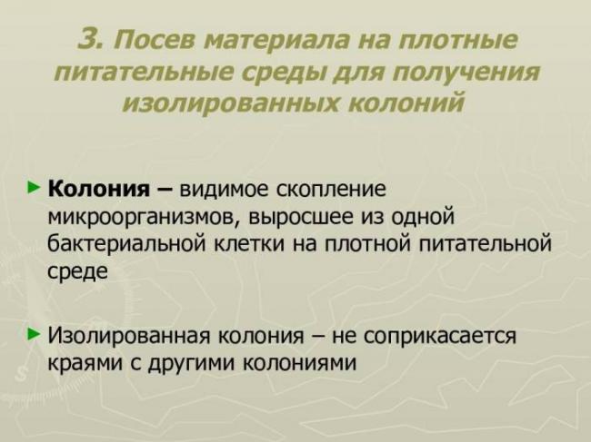 Особенности культивирования и выделения аэробных и анаэробных бактерий
