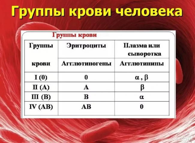 Диета по группе крови: 1 отрицательная