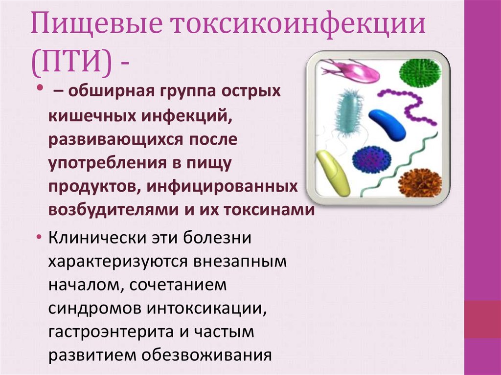 Пищевые токсикоинфекции