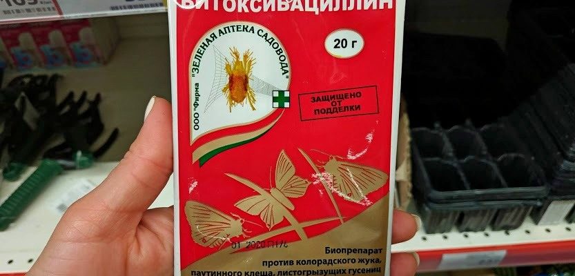Битоксибациллин: применение для растений от различных вредителей и отзывы дачников