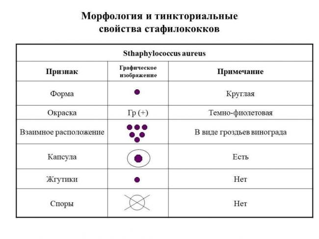 Идентификация микробов