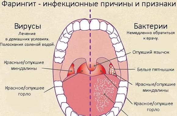 На сколько может быть заразной простуда и как она передается от других людей