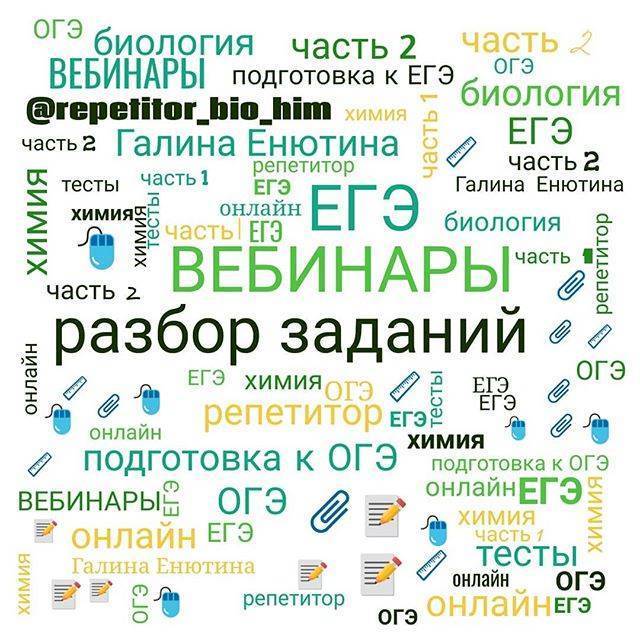 Какие организмы относятся к прокариотам