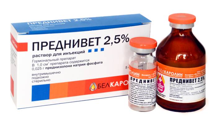 Тетравит для собак: инструкция по применению для животных