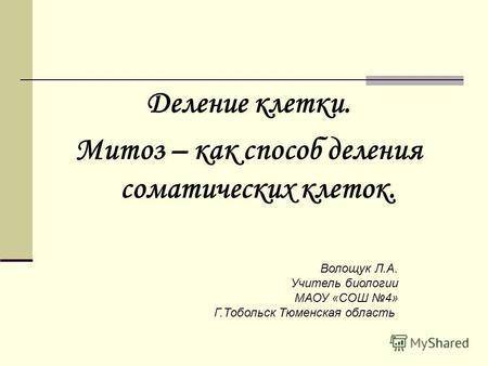 Деление клетки бактерии надвое способ размножения