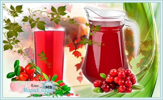 Брусничное варенье при кашле