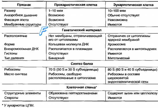 Царство бактерии общая характеристика, кто открыл бактерии, названия и примеры бактерий, чем питаются, как размножаются, запасное вещество бактерий, признаки симбиотических бактерий