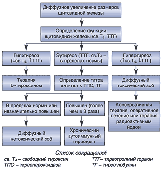 Диффузный (эндемический) зоб