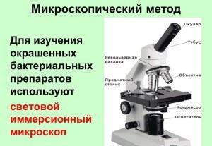 Построй сравнительную таблицу отображающий сходства и различия строение клеток бактерий растений животного