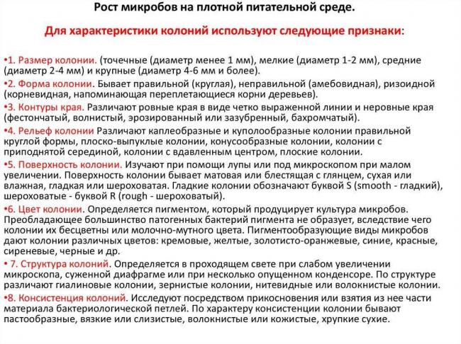Какие факторы способствуют росту и развитию бактерий в различных средах