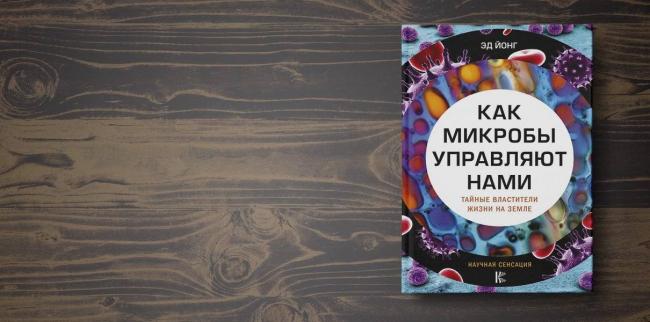 Опыты с детским микроскопом в домашних условиях — как показать детям микромир
