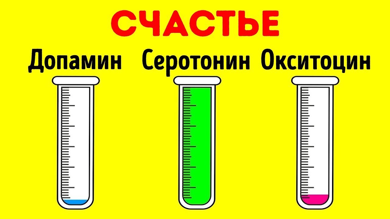 Лишний вес и гормон лептин