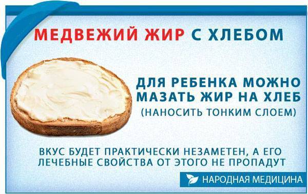 Медвежий жир