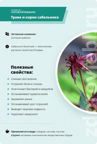 Сабельник болотный — инструкция по применению