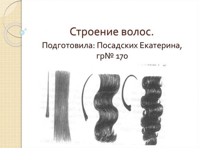 Кератины — википедия. что такое кератины