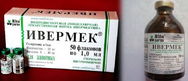 Ивермек дозировка, передозировка и инструкция по применению