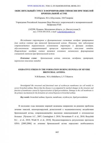 Что такое спирография и спирометрия расшифровка результатов процедуры