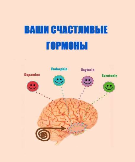 Гормон голода грелин: все гораздо сложнее, чем принято думать