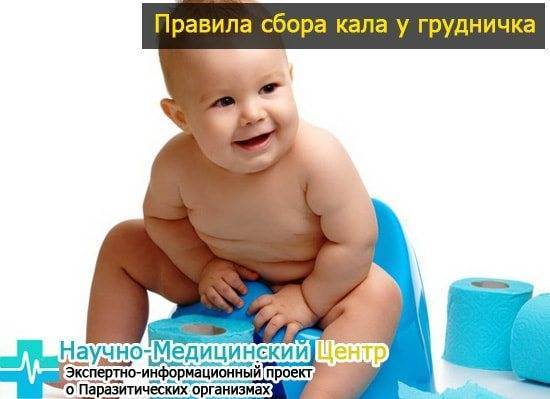 Чем грозит наличие йодофильной флоры в кале. йодофильная флора (капрограмма)