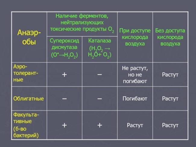Питание