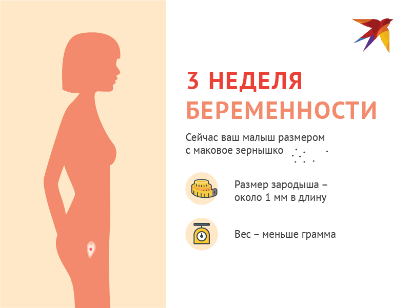 Первый месяц беременности симптомы