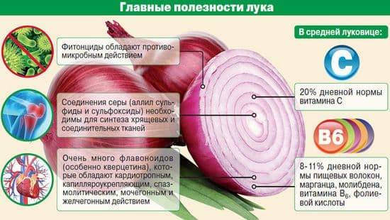 Лечение луком насморка