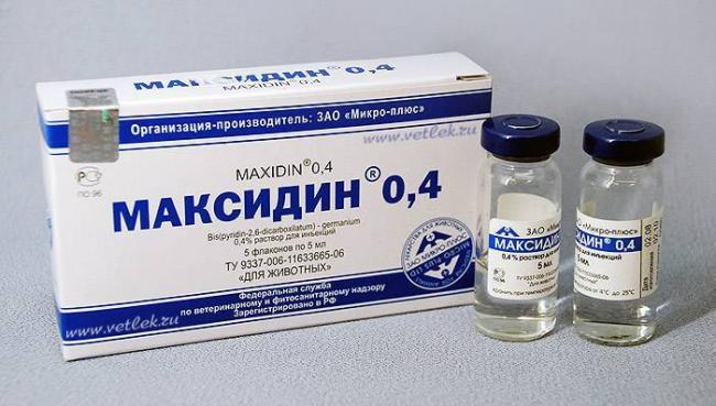 Гамавит отзывы ветеринара