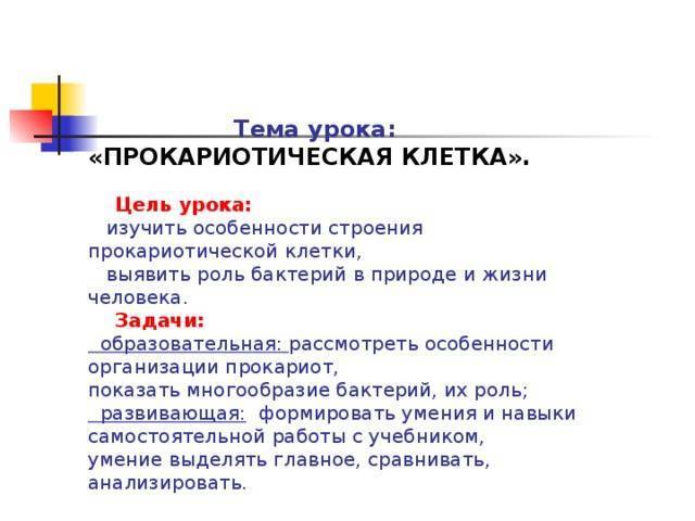 Бактерии-хемосинтетики, живущие на дне океана