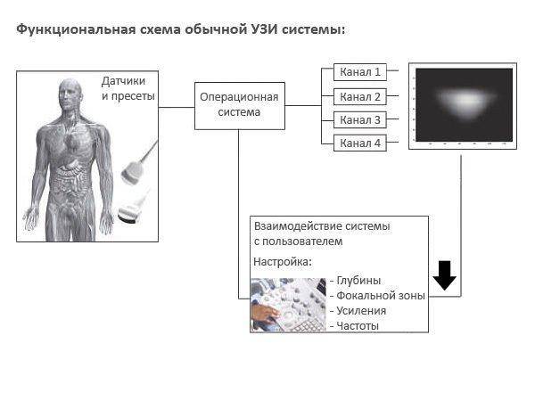 Что лучше узи или снимок позвоночника?