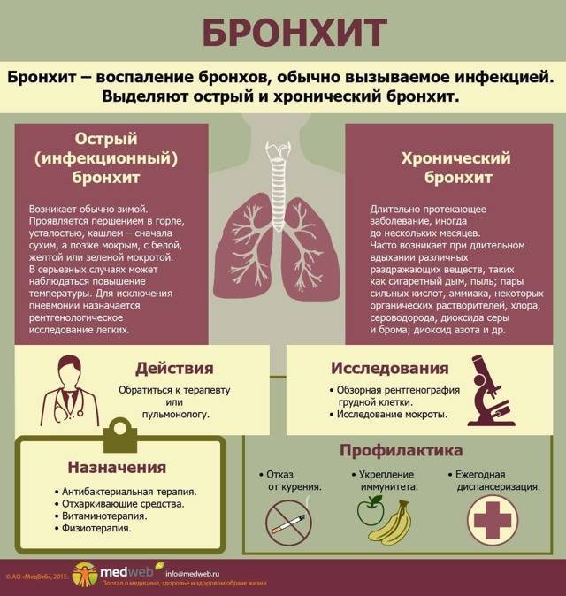 Лечение хронического бронхита народными средствами