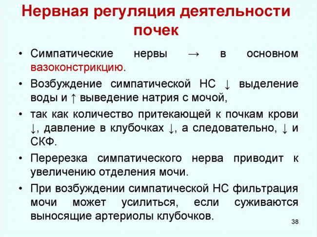 Влияние с-реактивного белка на течение артериальной гипертонии