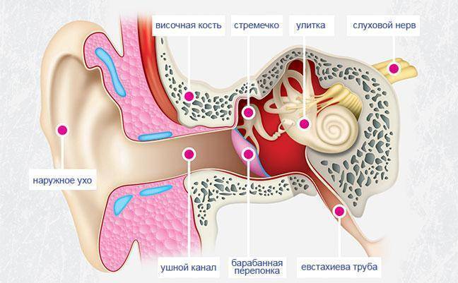 Как удалить серную пробку из уха у ребёнка