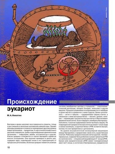 Амеба обыкновенная: строение, среда обитания, значение в природе
