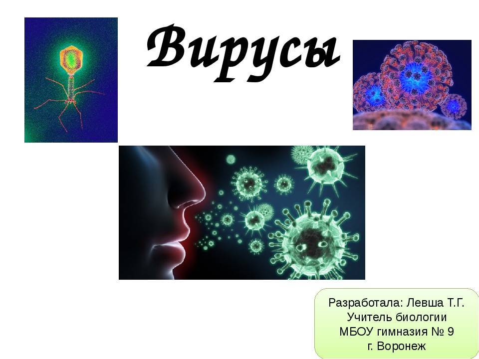 Ротавирус: симптомы и лечение