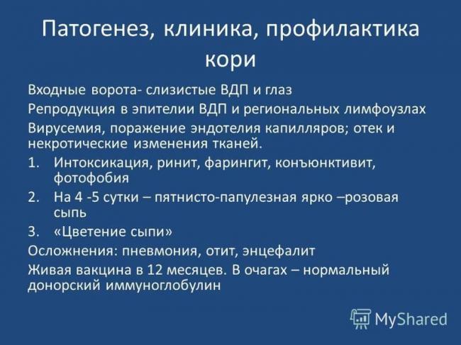 Как размножаются вирусы: особенности и этапы