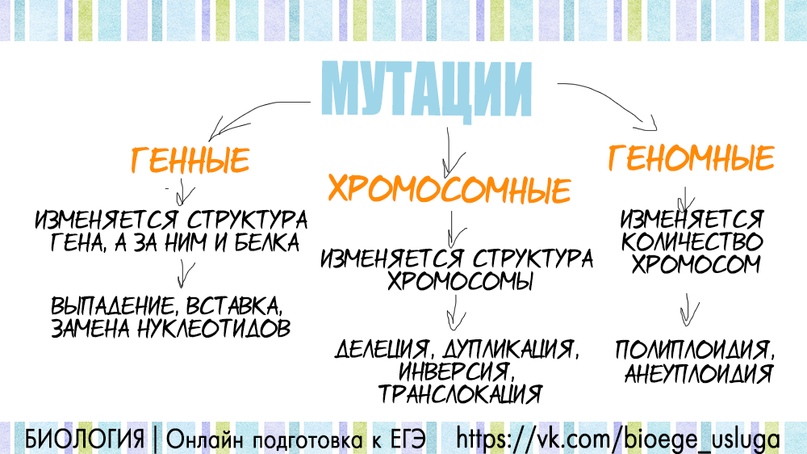 Мутации