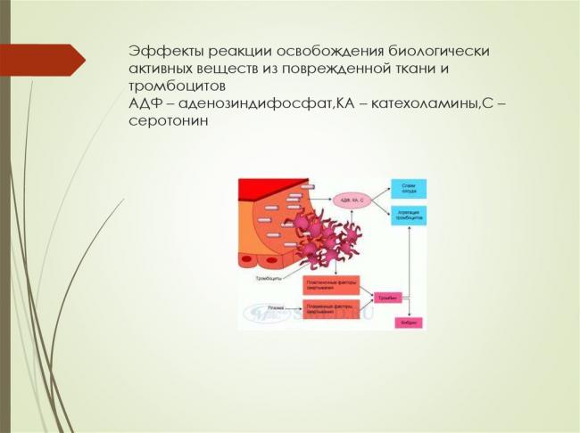 Аденозинтрифосфат