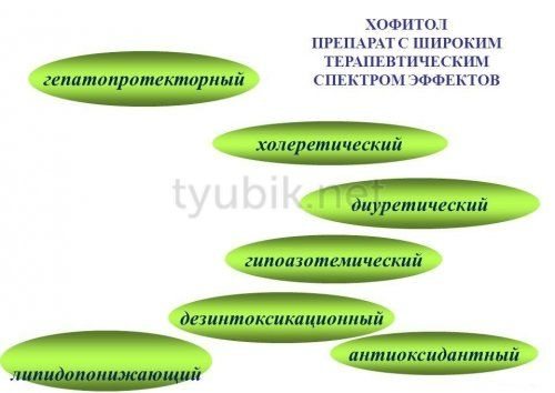 Хофитол: инструкция по применению для детей и взрослых, аналоги лекарства