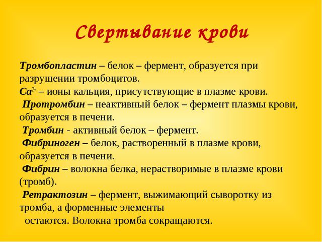 О чем говорит повышение или понижение тромбоцитов в крови